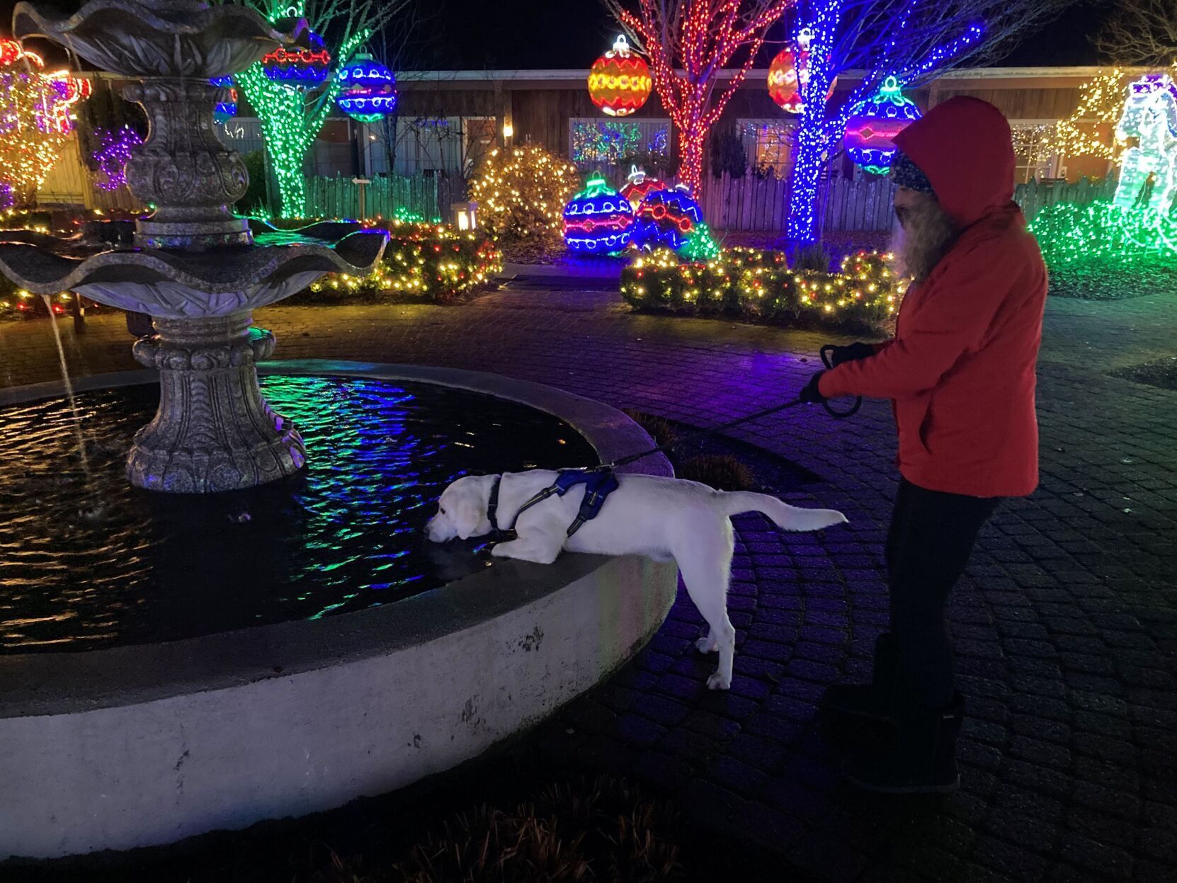 Fountain of (Puppy) Youth!